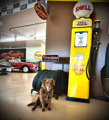 Photo post from Ohio Corvettes and Muscle Cars.