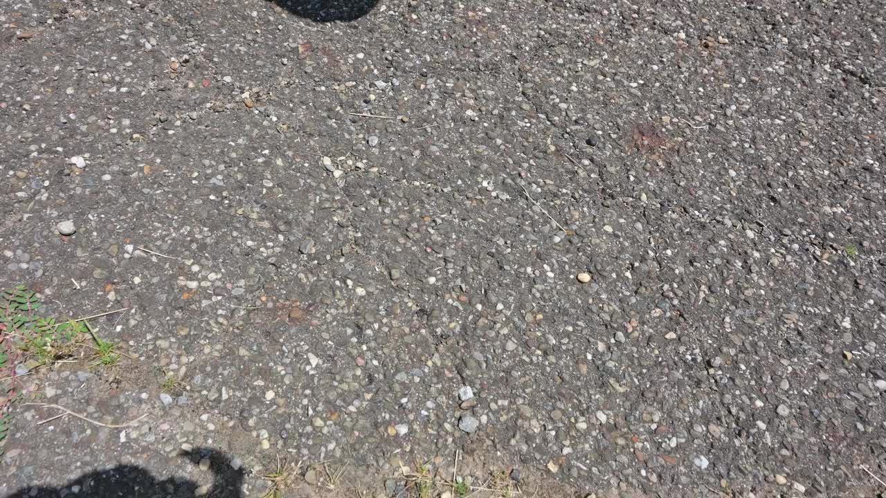 Video post from Ohio Corvettes and Muscle Cars.