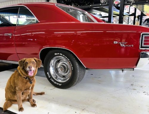 Photo post from Ohio Corvettes and Muscle Cars.
