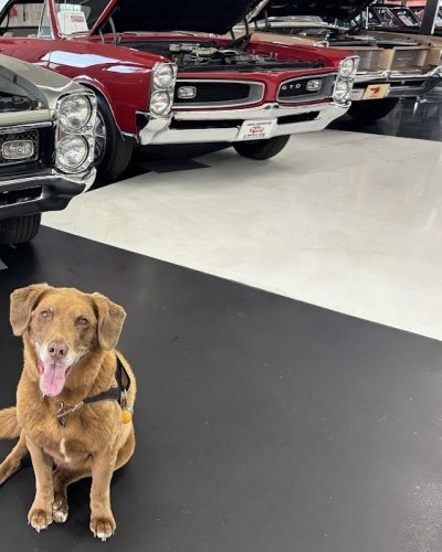 Photo post from Ohio Corvettes and Muscle Cars.