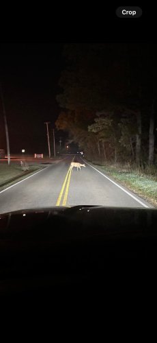 Photo post from Ohio Corvettes and Muscle Cars.