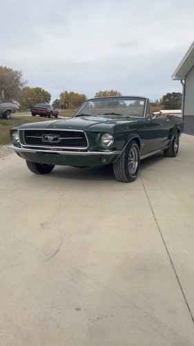 Video post from Coyote Classics, INC..