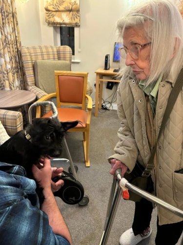 Carousel post from Collingwood Court care home.