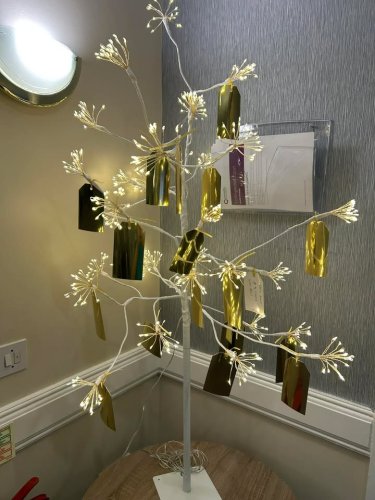 Photo post from Collingwood Court care home.
