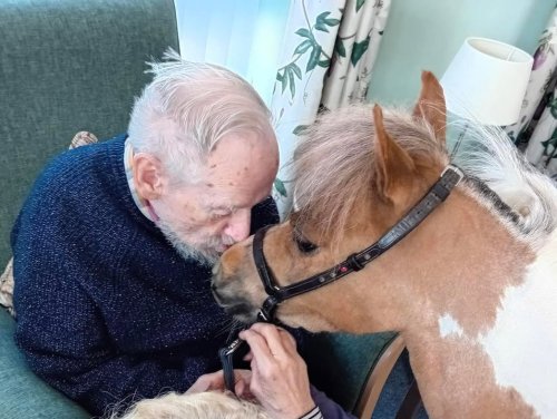 Carousel post from Collingwood Court care home.