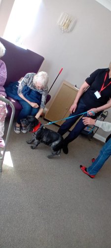 Carousel post from Collingwood Court care home.