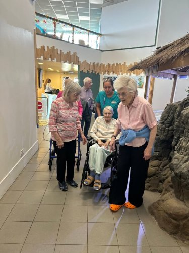 Carousel post from Collingwood Court care home.