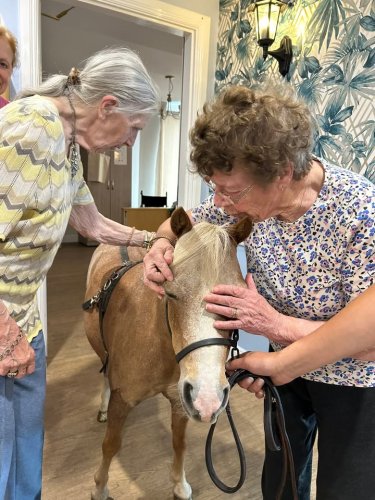 Carousel post from Collingwood Court care home.