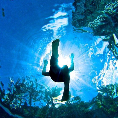 Photo post from linshauhung.