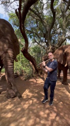 Video post from wouterkellerman.