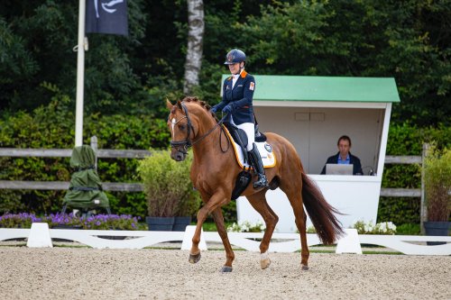 Photo post from fei_global.