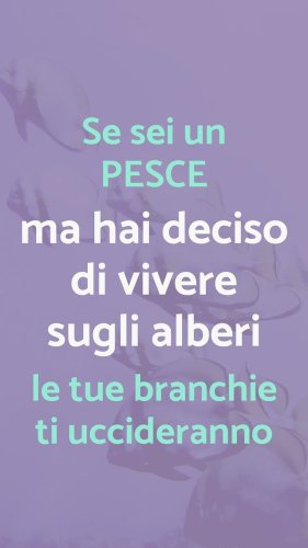 Video post from camillaripani.