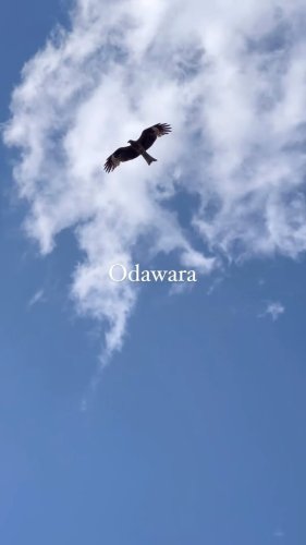Video post from badinanna.