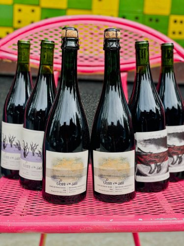 Carousel post from dandywineshop.
