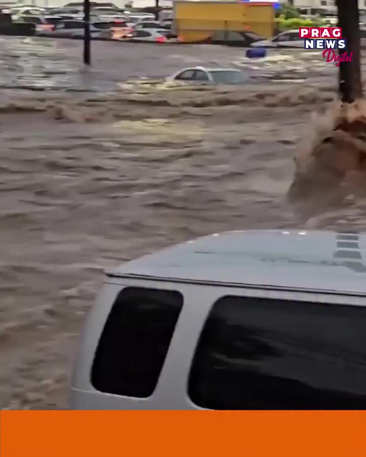Video post from pragnewsofficial.