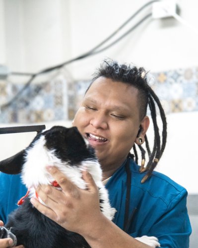 Photo post from medicalpettj.