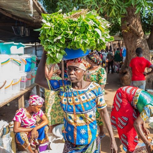 Photo post from unops_official.