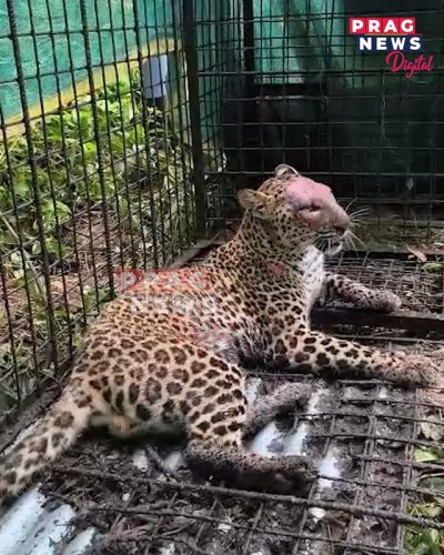 Video post from pragnewsofficial.