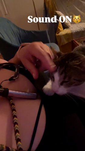 Video post from zampette.click.