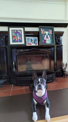 Video post from regencyfire.