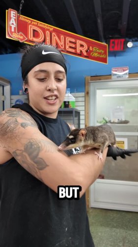 Video post from njexoticpets.