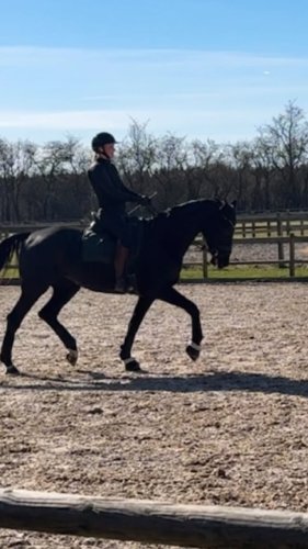 Video post from michellekolding.