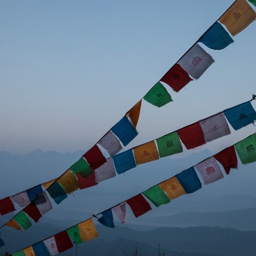 Photo post from unops_official.