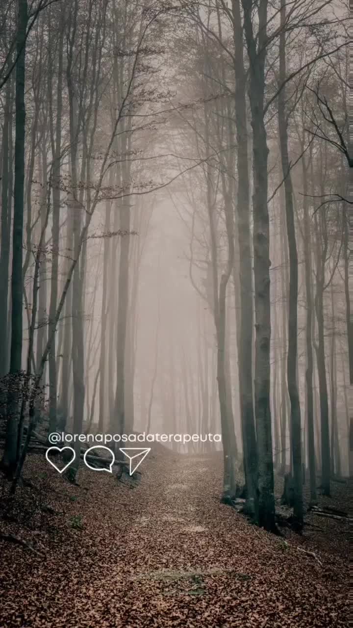 Video post from lorenaposadaterapeuta.