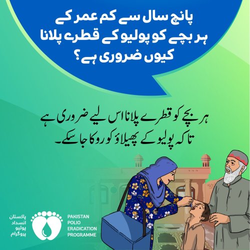 Photo post from pakfightspolio.