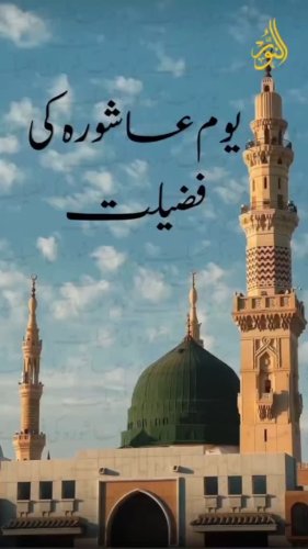 Video post from nighathashmi.