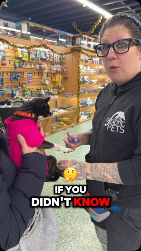 Video post from njexoticpets.