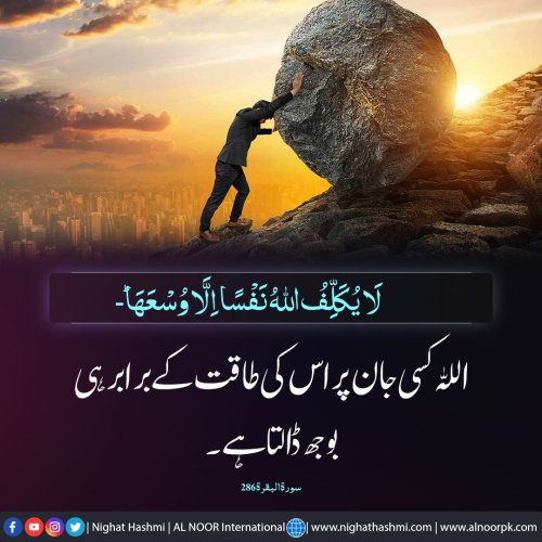 Photo post from nighathashmi.