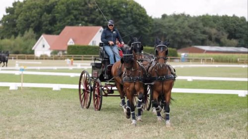 Video post from fei_global.