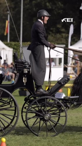 Video post from fei_global.