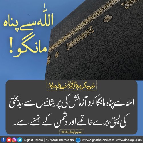 Photo post from nighathashmi.