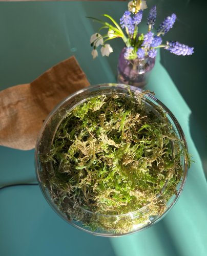 Photo post from briiv.natural.