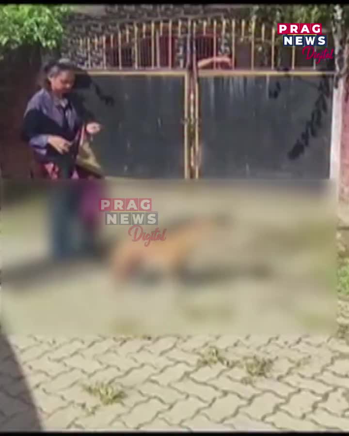 Video post from pragnewsofficial.