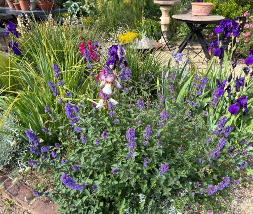 Photo post from gardenhousebrighton.