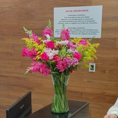 Photo post from la_gifteria.