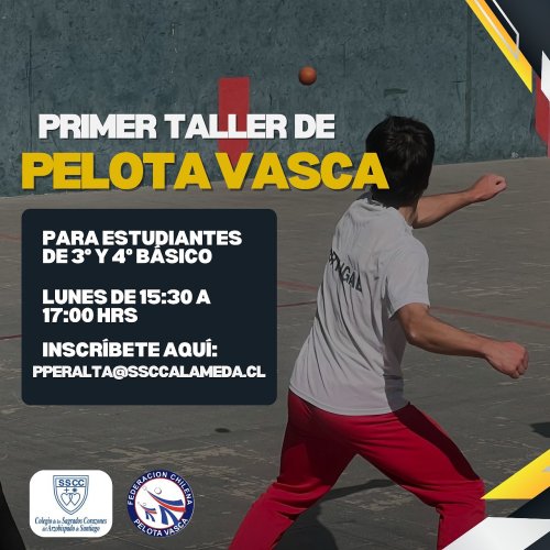 Photo post from pelotavascachile.