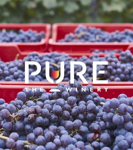 Photo post from purethewinery.