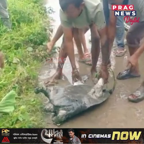 Video post from pragnewsofficial.