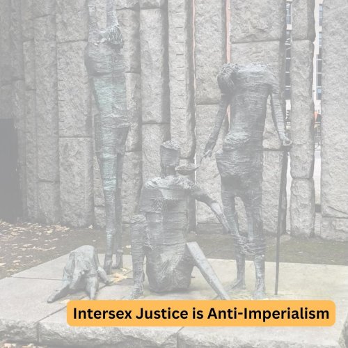 Carousel post from intersexjusticeproject.