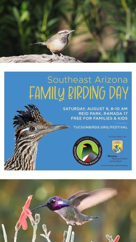 Video post from visittucson.