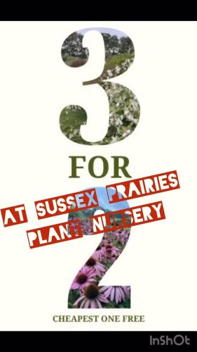 Video post from sussexprairies.