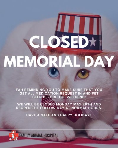 Photo post from familyanimalhospitalcm.