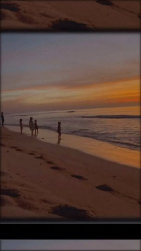 Video post from octopusresort.