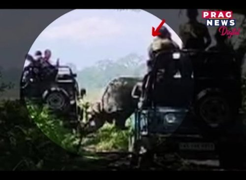 Video post from pragnewsofficial.