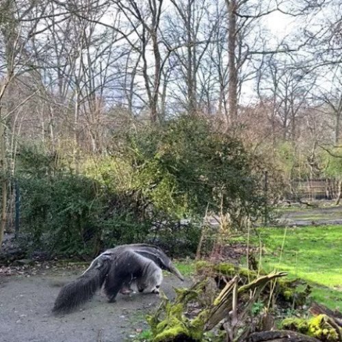 Carousel post from visit.magdeburg.