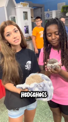 Video post from njexoticpets.